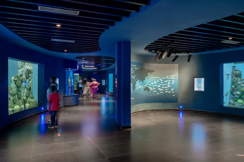 Gallery space with circular ceiling panels and blue walls displaying aquarium tanks and projection screens with visitors walking through