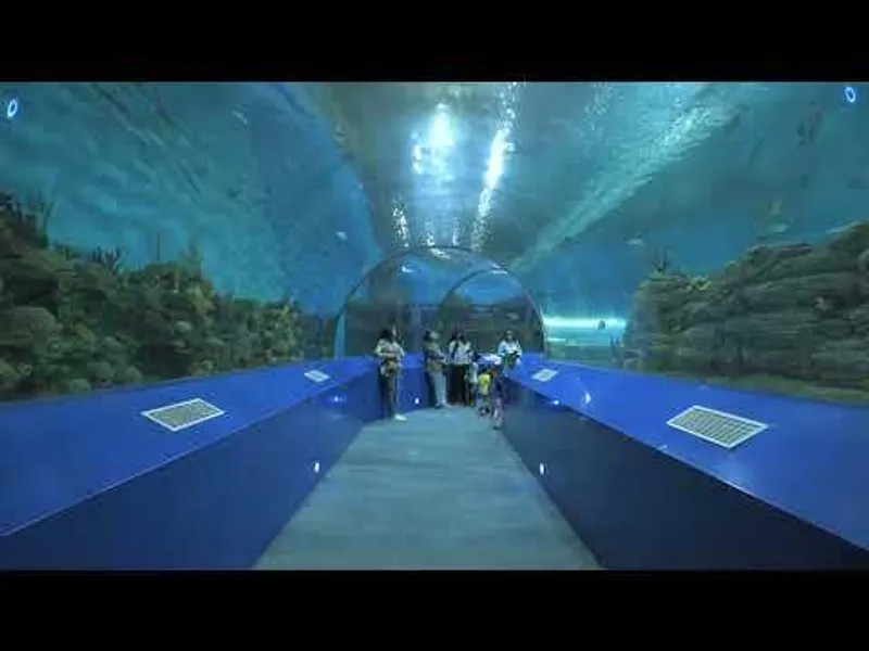 Arched acrylic tunnel walkway beneath water with visitors and blue flanking panels