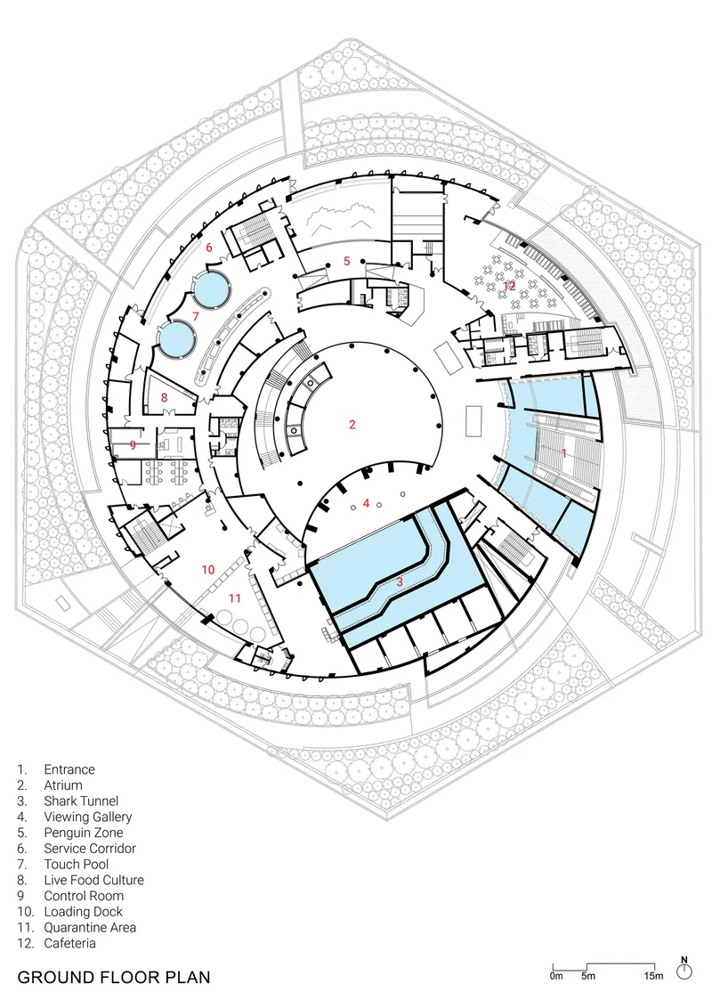 Ground floor plan drawing showing curved circulation paths and aquatic exhibit pools within hexagonal perimeter walls