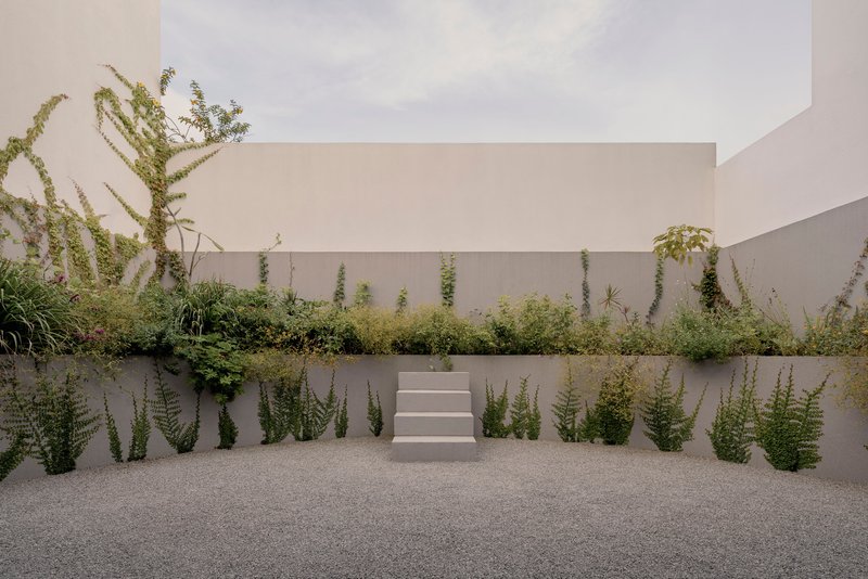 Tiered courtyard garden with concrete planters filled with vertical succulents and ground cover grasses