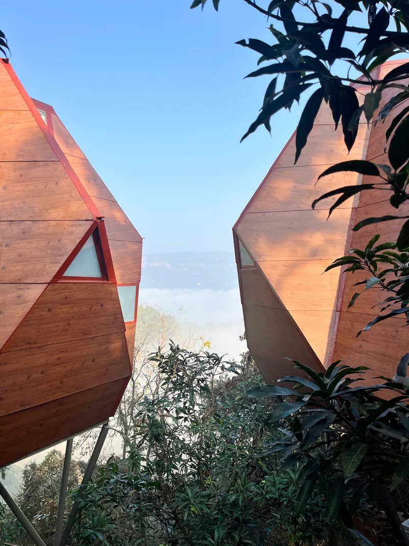 Two pyramidal timber volumes separated by planted gap with trees and vegetation between them