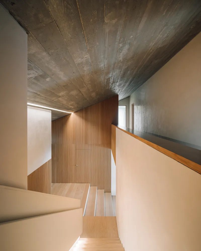 Stairwell with exposed concrete ceiling, pale plywood treads and vertical timber cladding lit by afternoon sun