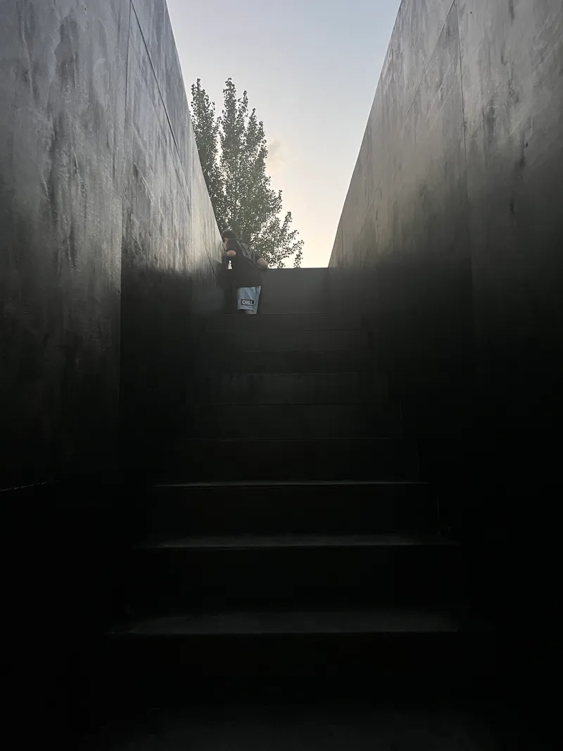 Staircase ascending between tall concrete walls with a lone figure and tree visible at the top