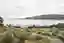Triangular Floats a Lake House on Point Supports Above Chile's Humid Volcanic Shore