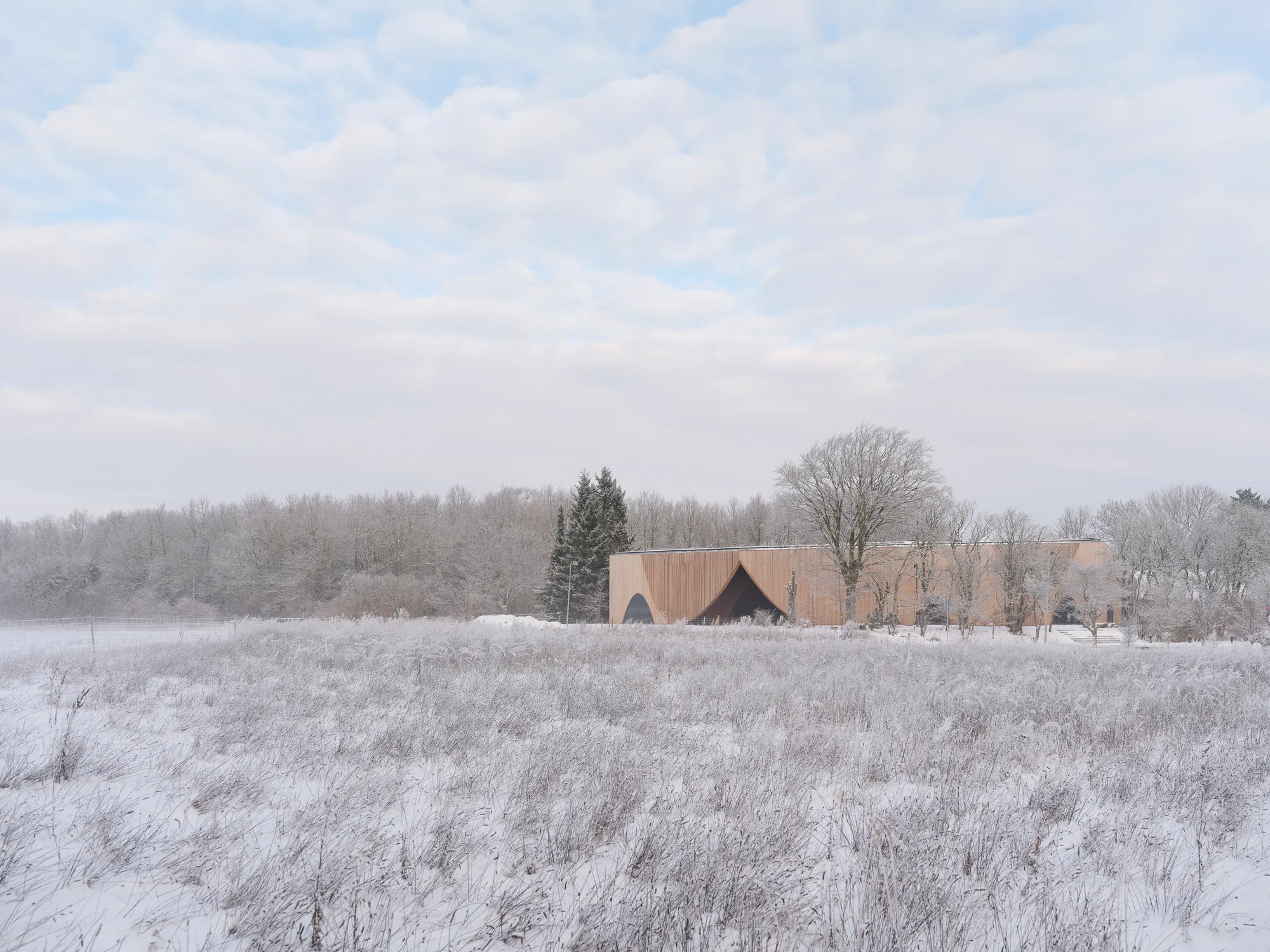 Svendborg Architects and Wohlert Arkitekter Give Ishøj a Timber Theater That Bows to the Forest