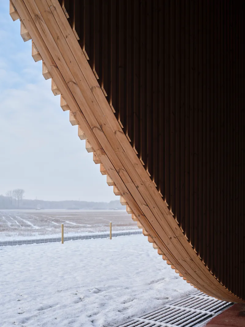Cantilevered timber soffit with scalloped edge extending over a snow-covered landscape