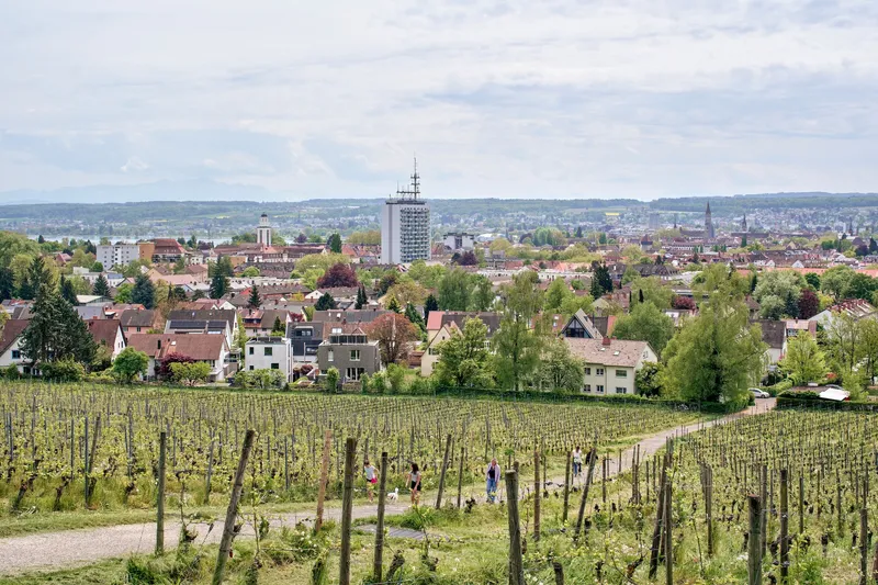 Distant view of the tower emerging from suburban rooftops beyond vineyards in early spring