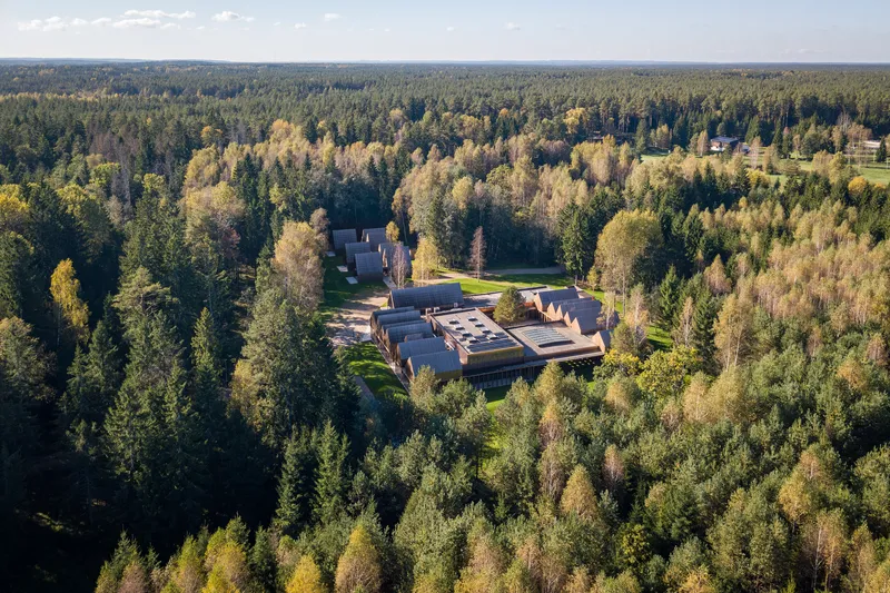 Aerial view of clustered flat-roof volumes nestled in a dense forest of conifers and birch trees