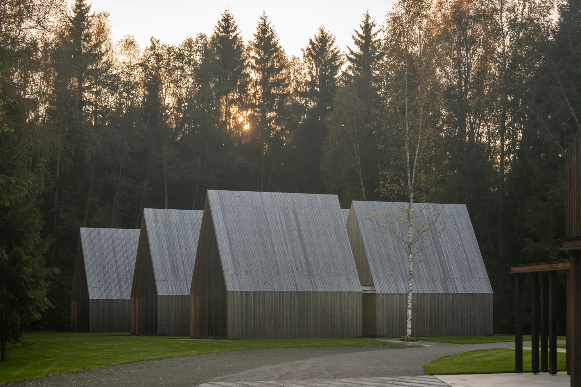 arches Weaves a Nature Therapy Retreat into a Lithuanian Forest Clearing