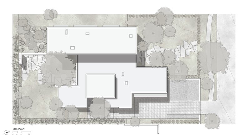 Site plan drawing showing the building footprint, pool, paved areas and surrounding tree canopy