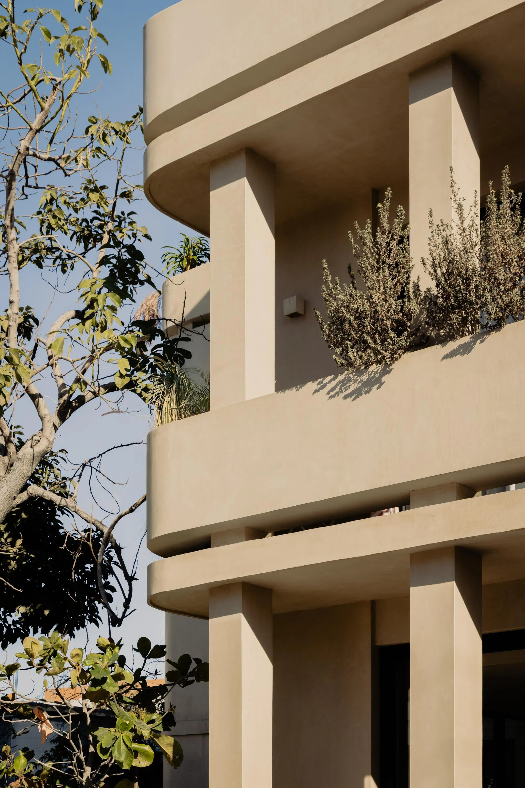 Barde vanVoltt Stacks Six Residences Over a Chukum-Lined Café in San José del Cabo