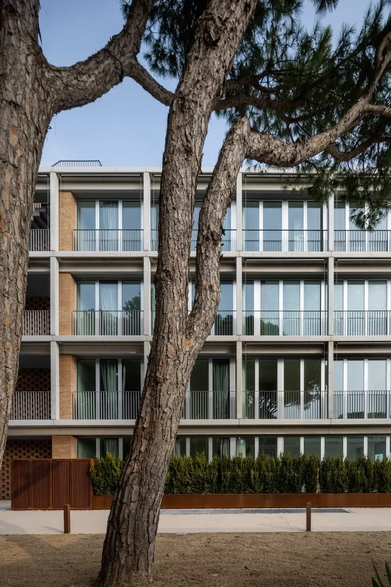 Building facade with brick panels and glass openings viewed through curved trunks of foreground trees