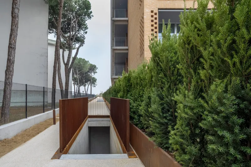 Concrete and weathered steel ramp descending between tall cypress trees toward a lower level entrance