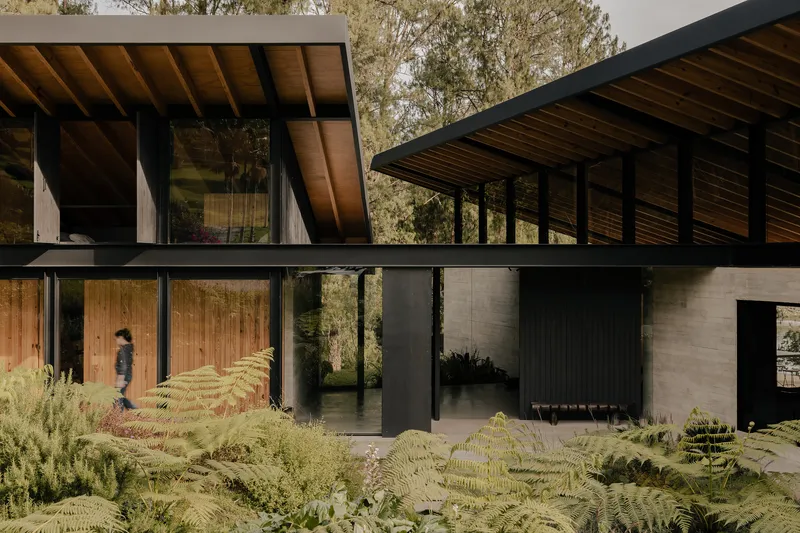 Two-story facade with timber cladding and concrete walls surrounded by ferns and native planting