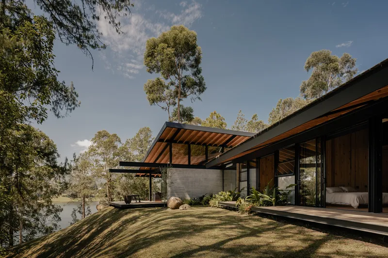 Sloped lawn rising toward the split-pitched roof volumes framed by eucalyptus trees under afternoon light