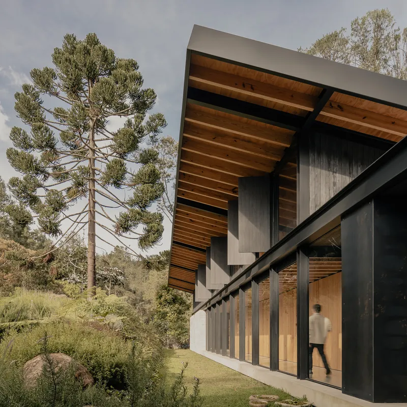 Facade with vertical timber louvers and concrete panels under cantilevered roof beside tall pine tree