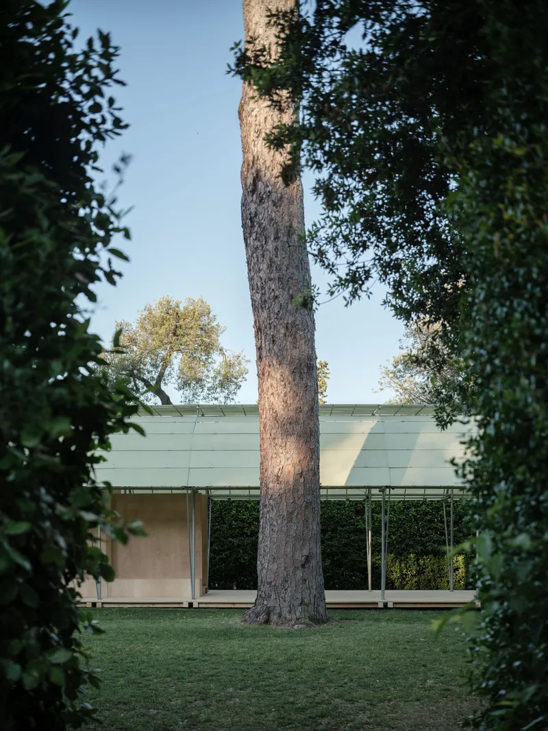 Tall tree trunk framing the view of the low glass pavilion roof in late afternoon light