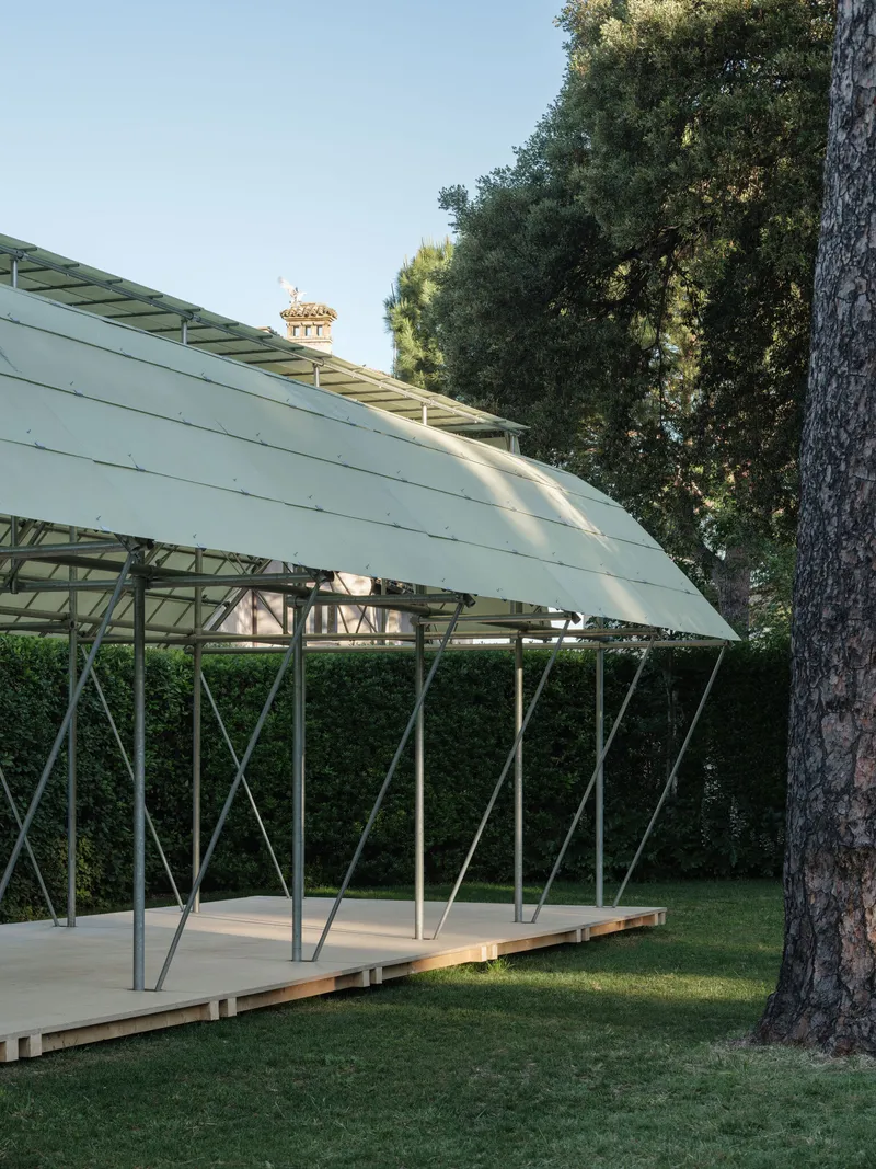 Curved canopy profile with cross-braced steel columns and timber platform beside a mature tree trunk