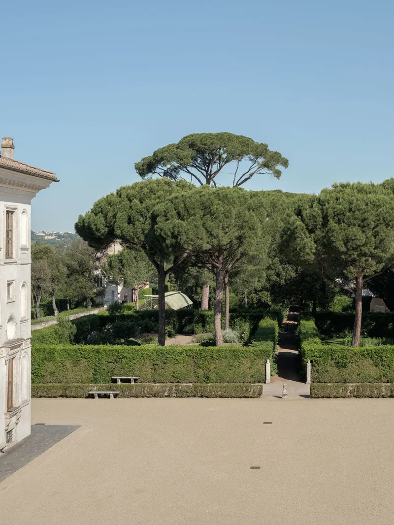 Gravel courtyard with stone paving bordered by trimmed hedges and umbrella pines beyond the villa