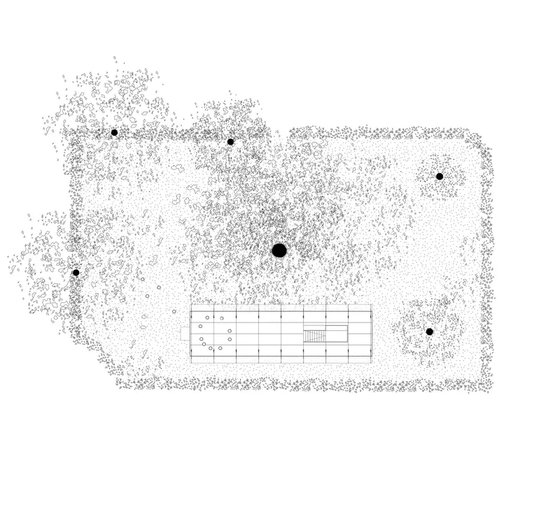 Site plan drawing showing rectangular pavilion surrounded by scattered tree canopies rendered as dots