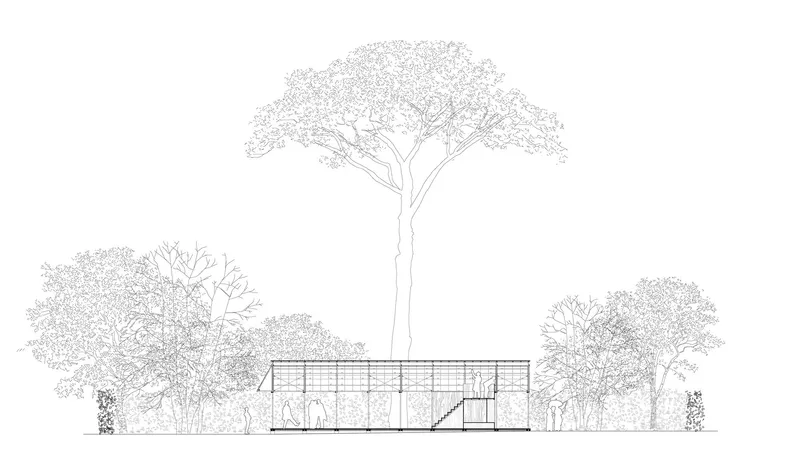 Elevation drawing showing low pavilion with gridded roof nestled between tall trees