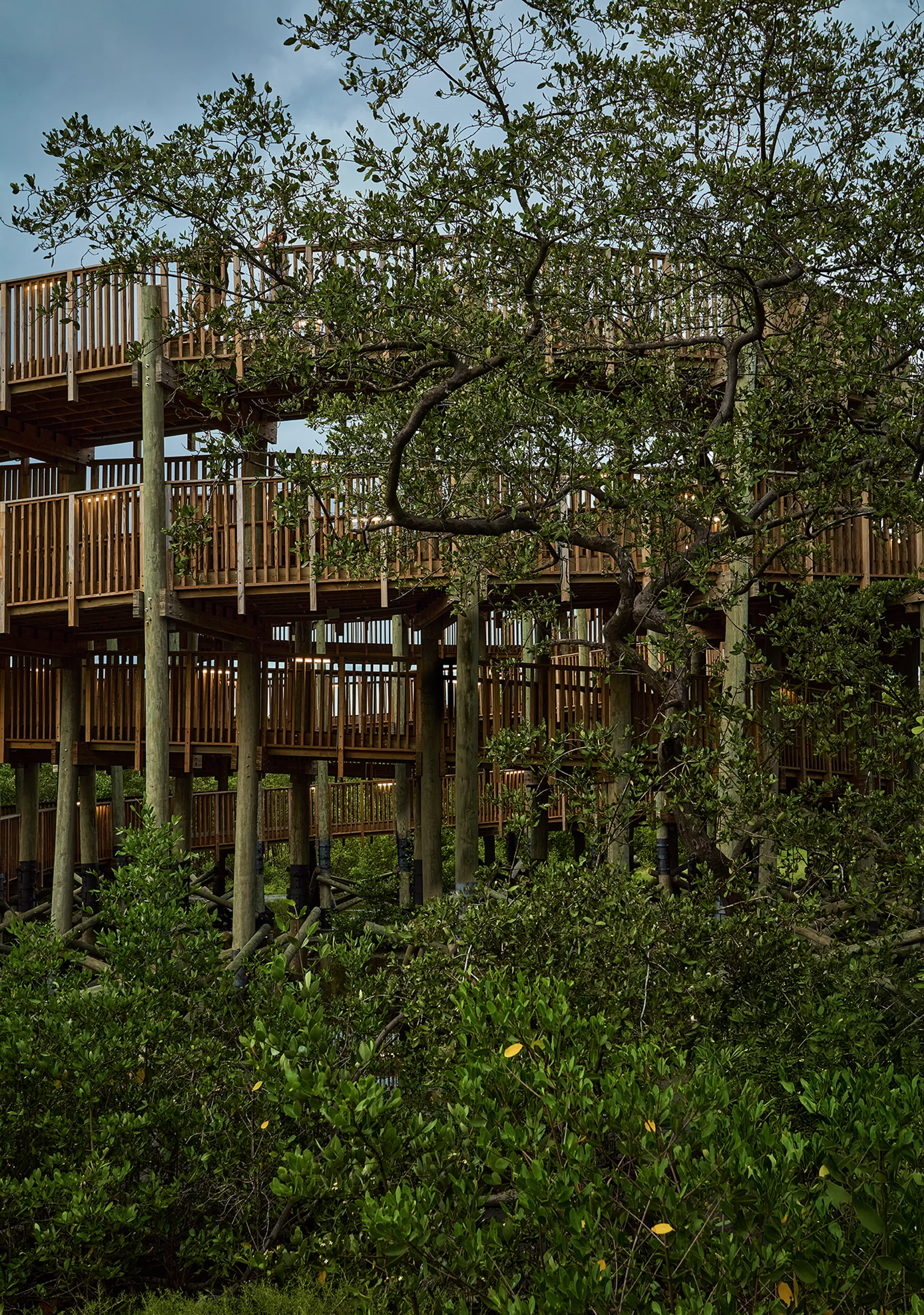 El Equipo Mazzanti and DEB Thread 4.4 Kilometers of Boardwalk Through a Colombian Mangrove Lagoon