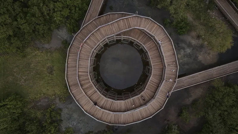 Aerial view of the circular timber observation deck with concentric walkways surrounded by wetland