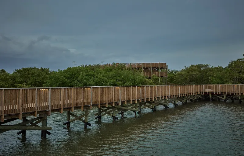 Timber pier on pilings leading through mangroves to cylindrical observation tower in cloudy weather