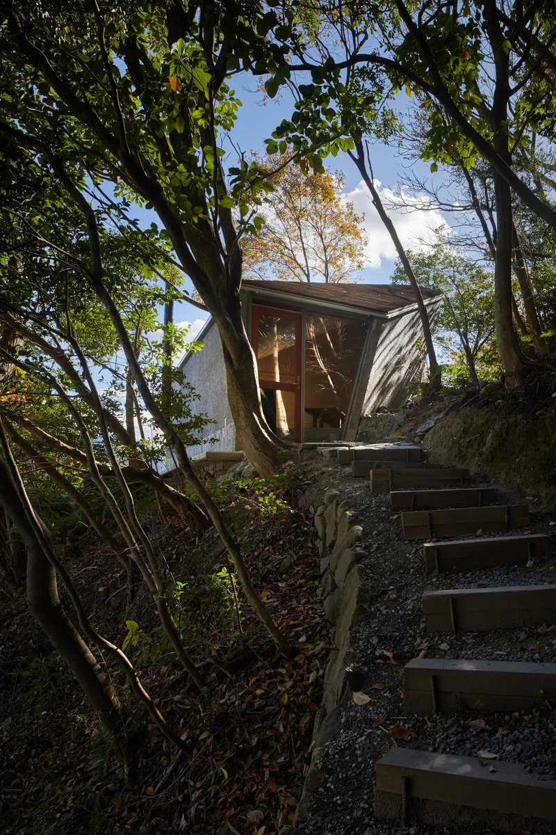 Timber stairway ascending the wooded slope toward the glazed entrance beneath overhanging tree branches