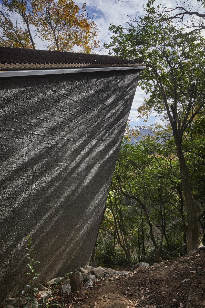 Close-up of the ribbed charred timber cladding at the roof edge against autumn tree canopy