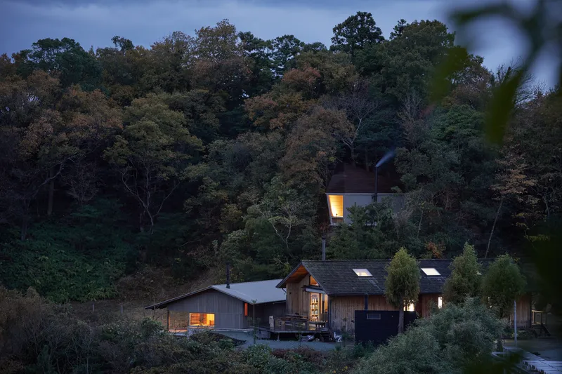 Timber-clad cluster of buildings nestled into a wooded hillside at dusk with interior lights glowing
