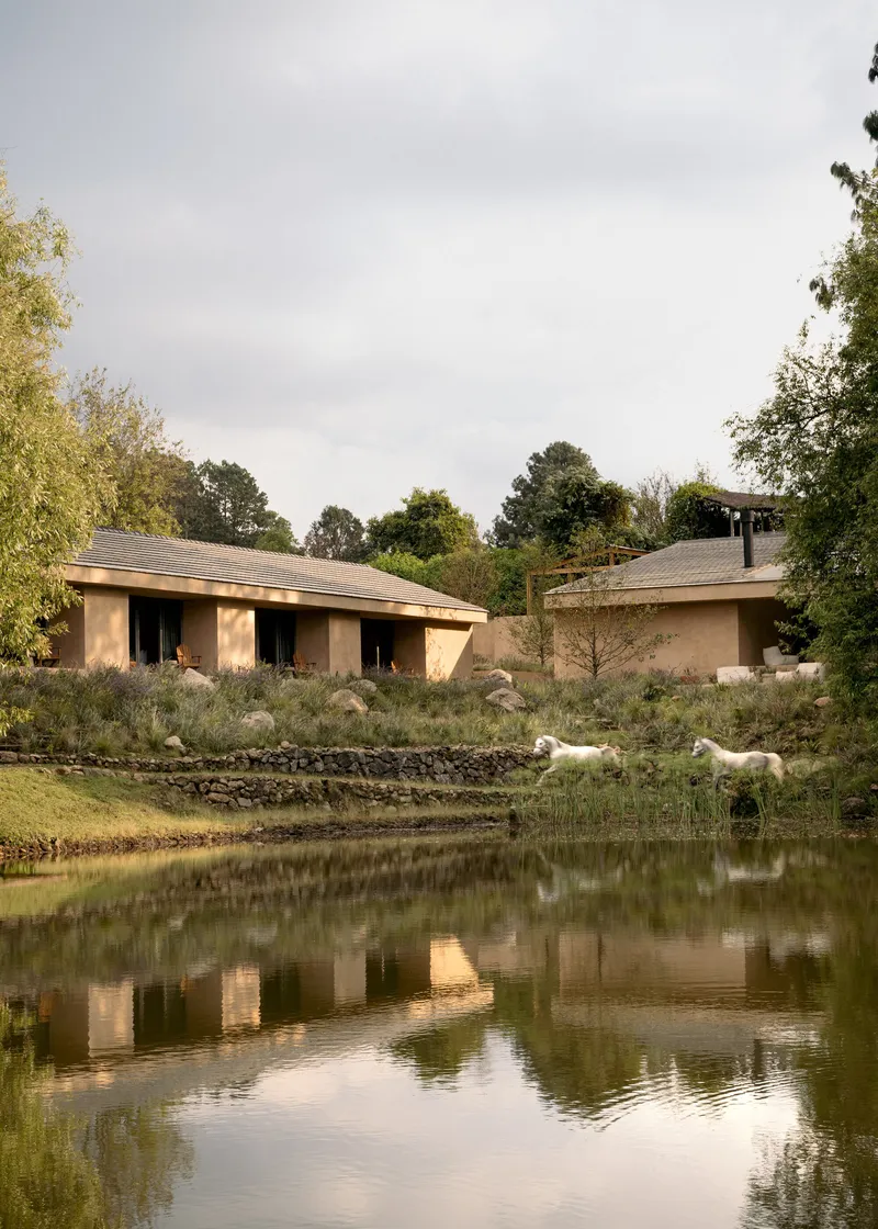 Two low-slung volumes with pitched roofs reflected in a pond with two white dogs