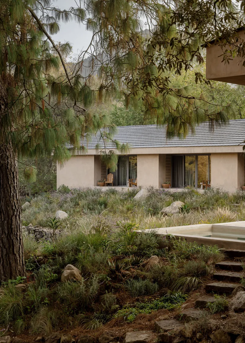 Stone steps leading through planted hillside with pine tree framing the view to the facade