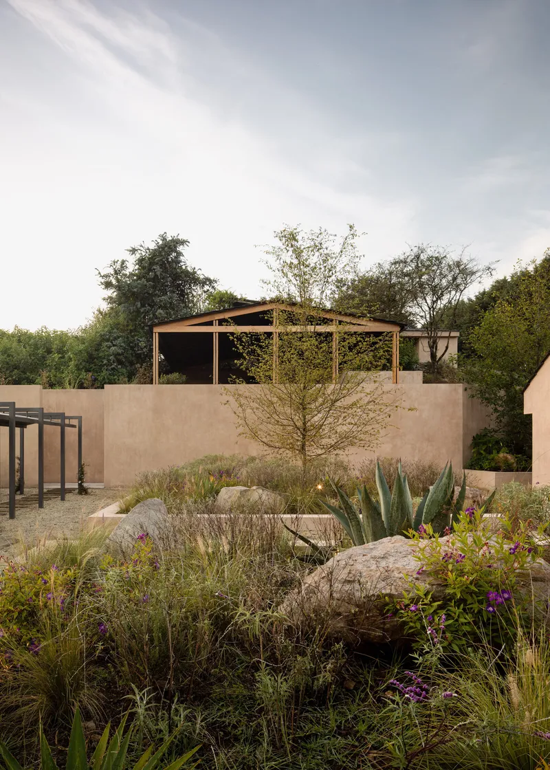 Rammed earth courtyard wall with timber pergola rising above native planted beds and boulders
