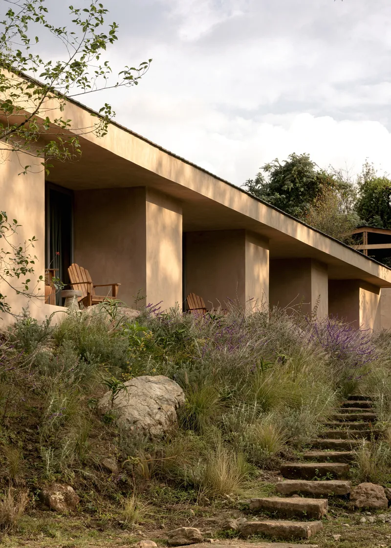 Covered terrace with angled roof overhang and wooden chairs amid native grasses and lavender