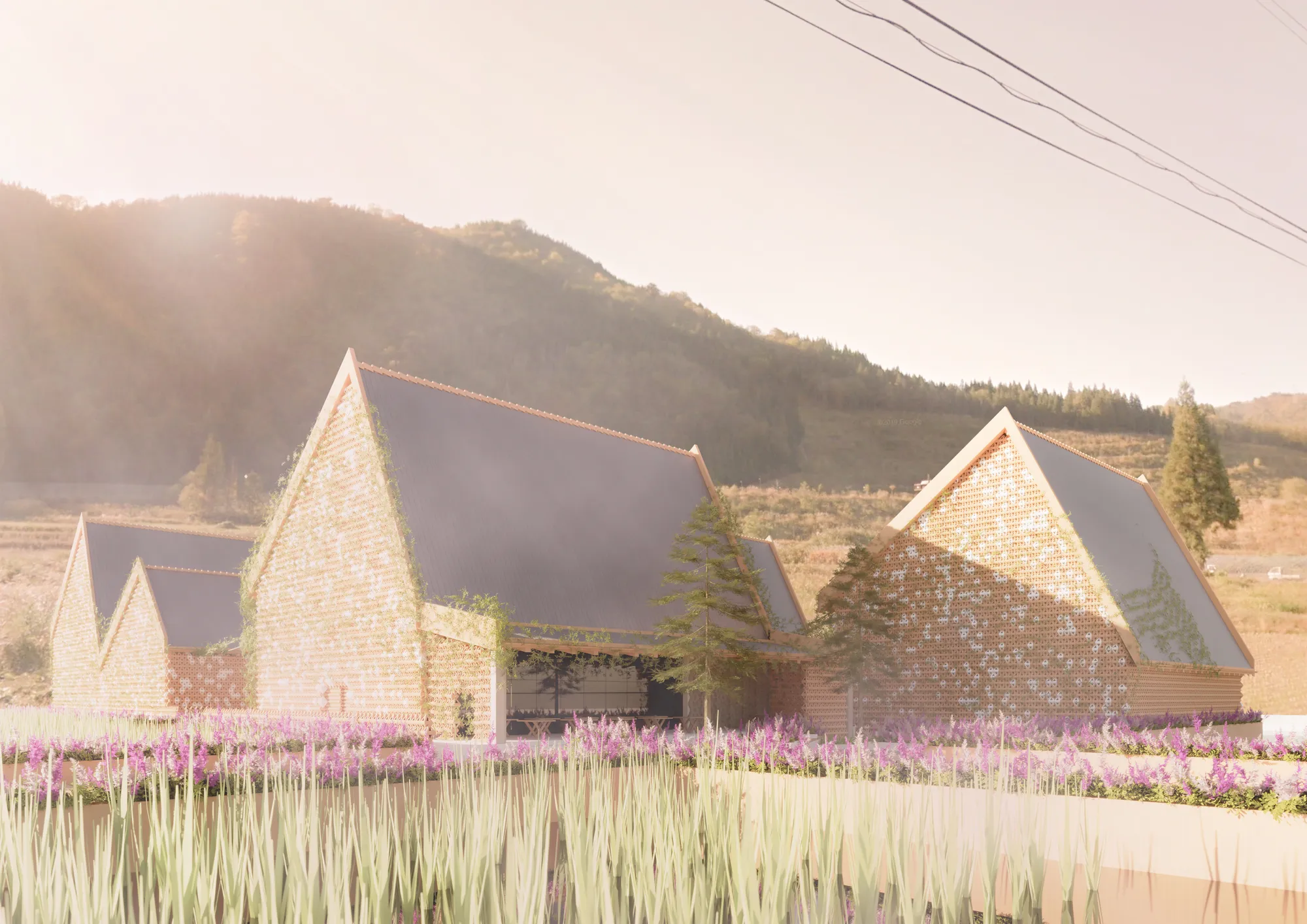 Using Japanese methods to help conserve its culture with new generations