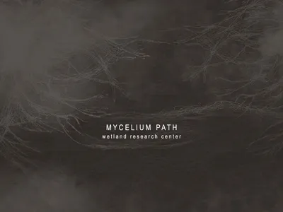 M Y C E L I U M  P A T H