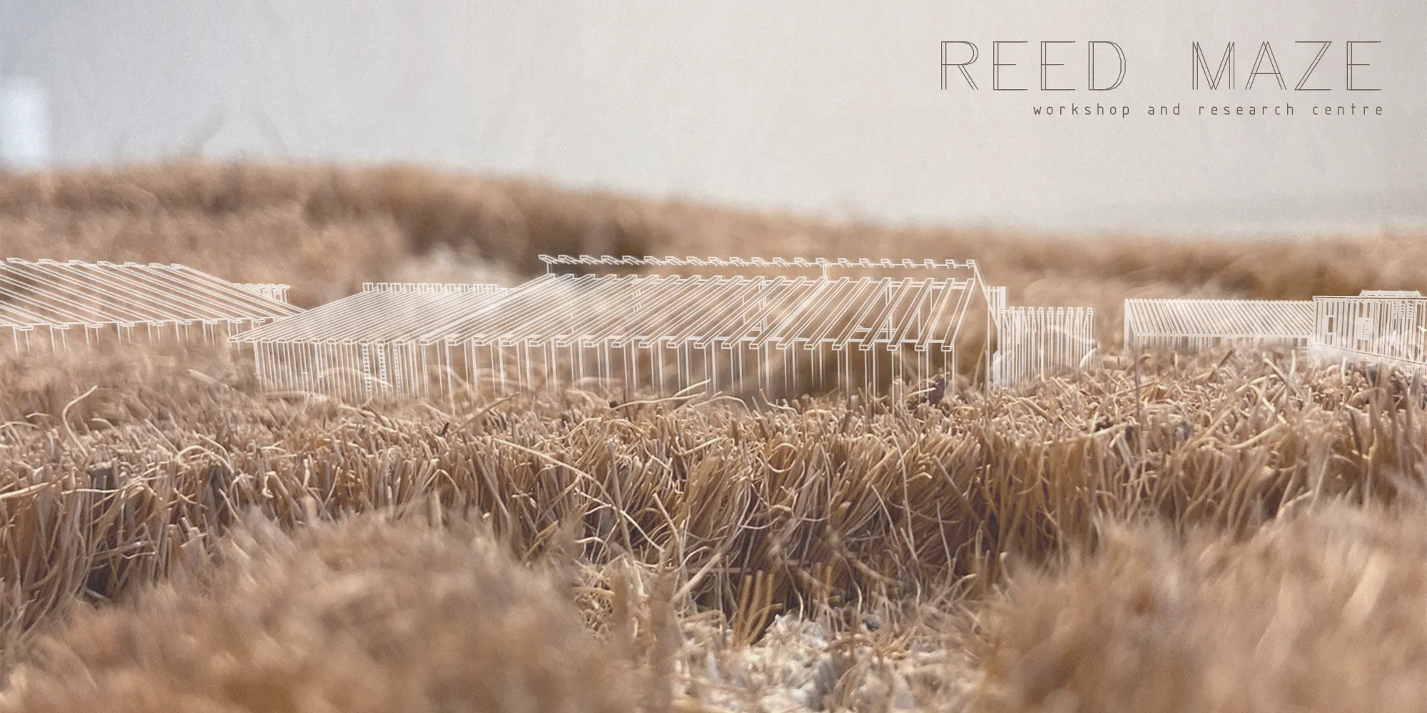 REED MAZE - workshop and research centre