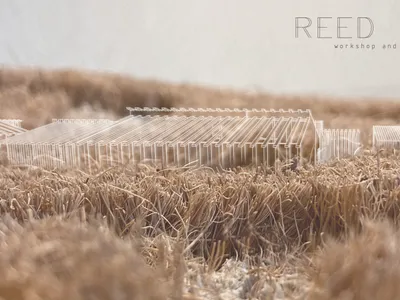 REED MAZE - workshop and research centre