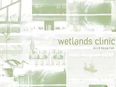 wetlands clinic