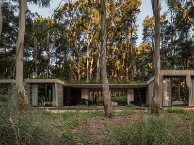 Forest House by Gonzalo Bardach Arquitectura: A Sustainable Refuge Immersed in the Argentine Coastal Forest
