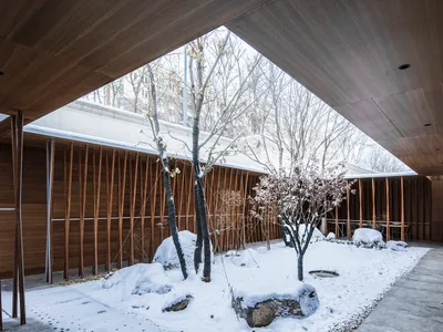 Gardenful: A Semi-Indoor Urban Sanctuary Blending Geometry and Wild Nature