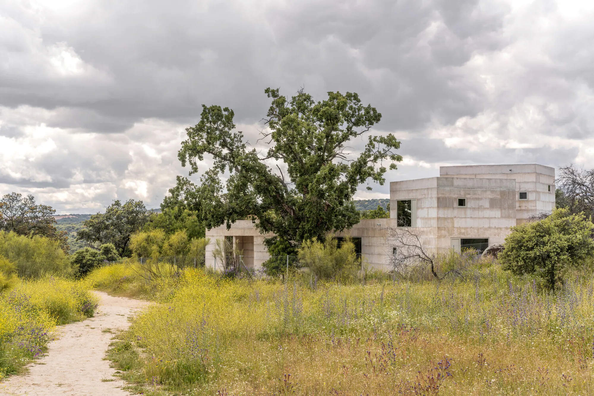 House X by Bojaus Arquitectura: A Harmonious Integration with Nature in Valdemorillo, Spain