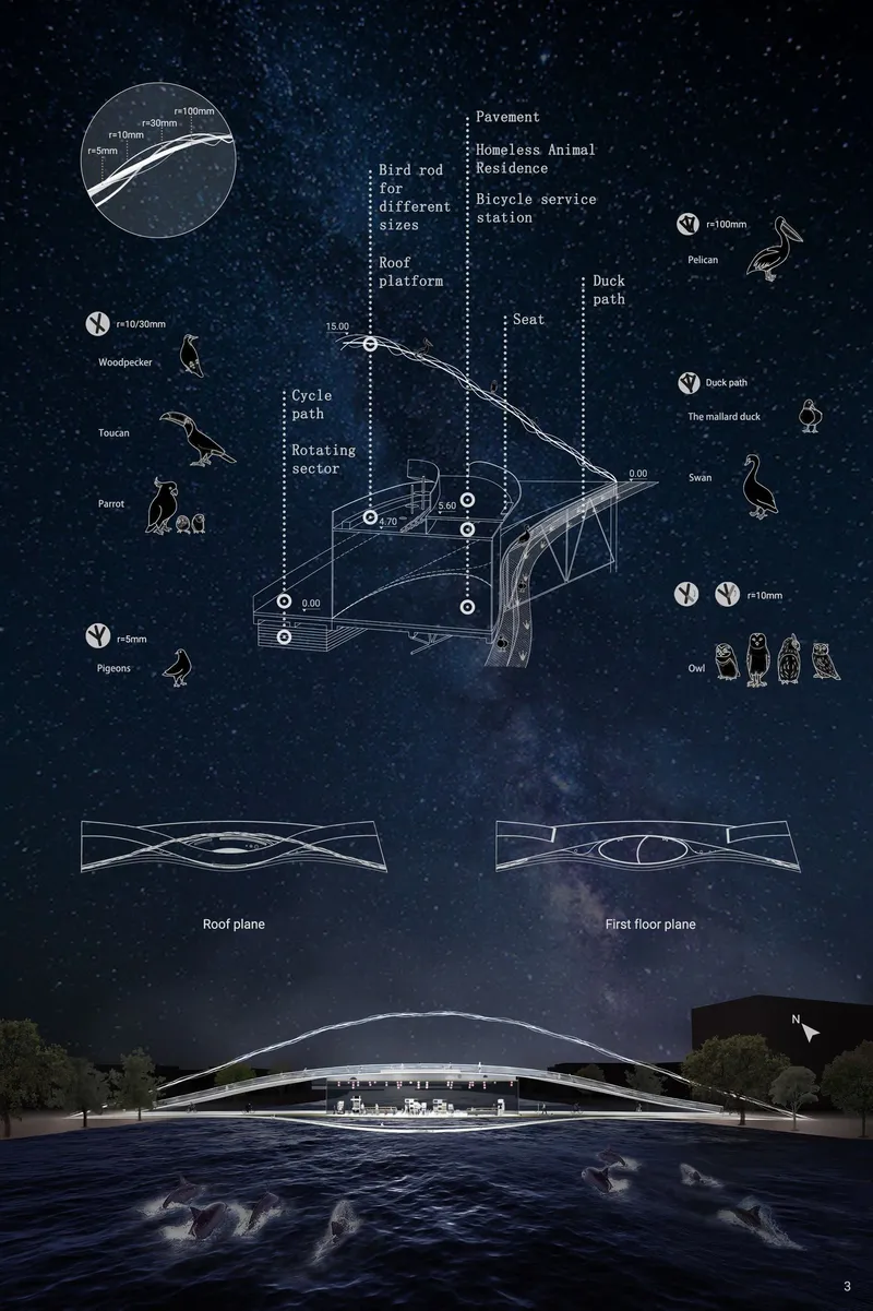 Presentation board with axonometric diagram, plan drawings, and night rendering of an arched pedestrian bridge over water