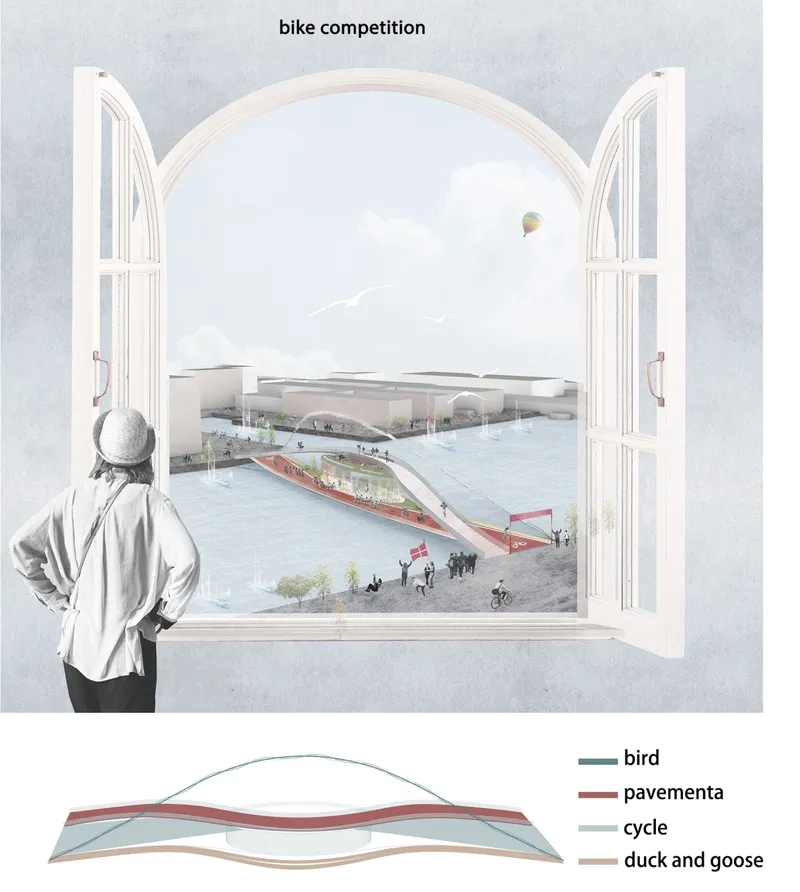 Sectional diagram showing a sloped bridge structure with layered uses for birds, pavement, cycles, and waterfowl