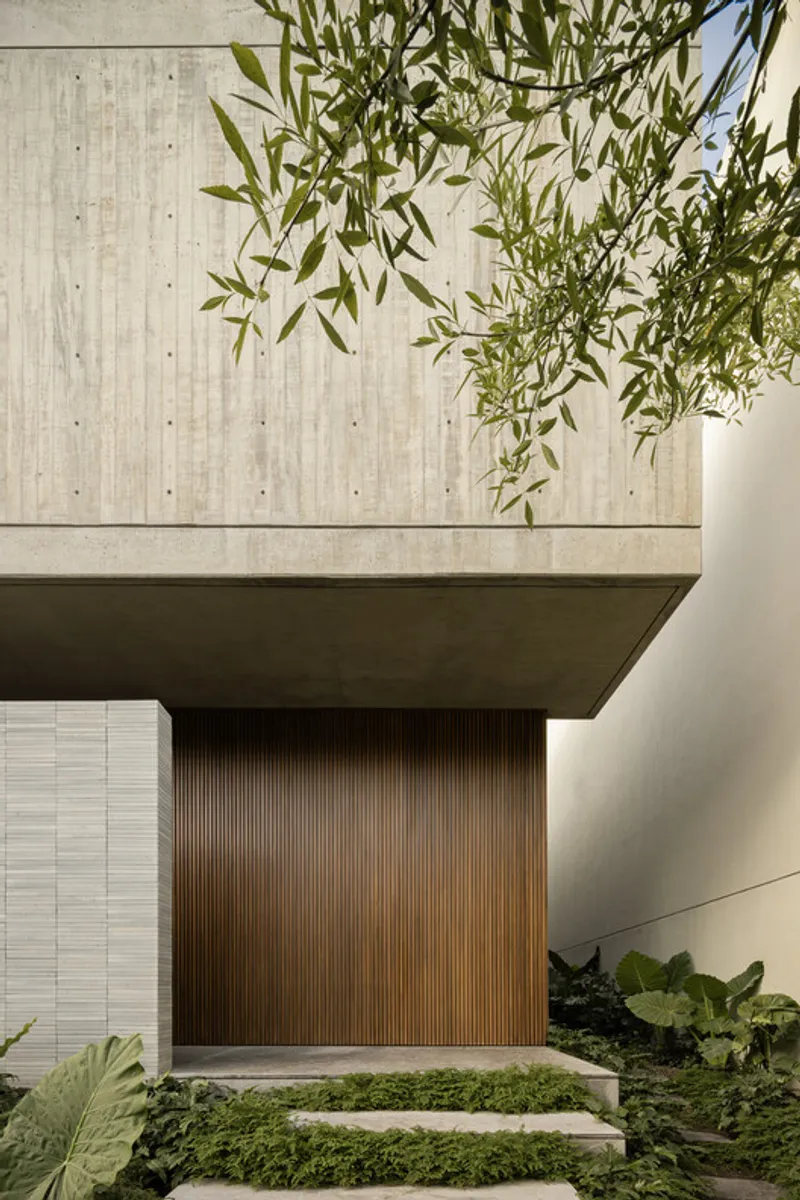 Cantilevered concrete volume above timber garage door with olive branches overhead in afternoon light