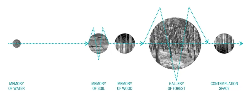 Conceptual diagram linking circular forest imagery with dotted lines tracing memory themes from water to contemplation