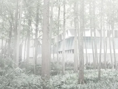 Museum of Woods: Architecture as a Living Archive of Forest Memory