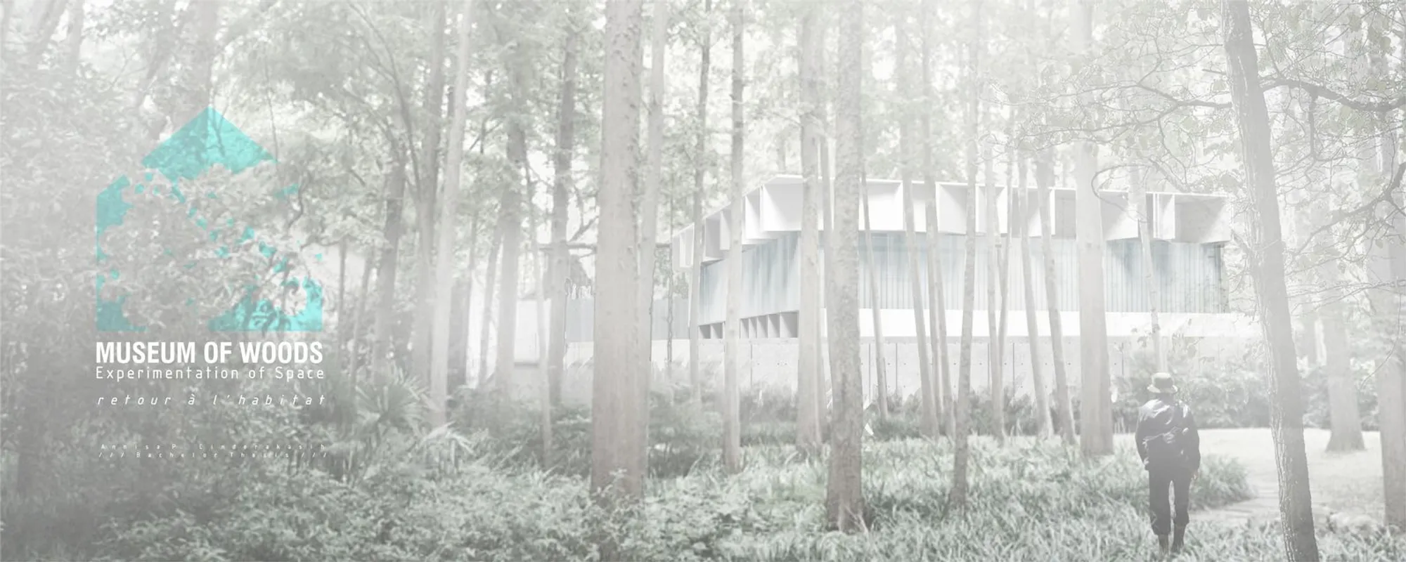 Museum of Woods: Architecture as a Living Archive of Forest Memory