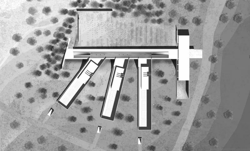 Site plan drawing showing elongated volumes radiating from a central structure among scattered trees